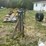manual-head-catch-image-4