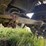 2001-wilson-livestock-trailer-image-37