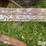 kewanee-270-image-13