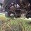 1995-wabash-truss-extendable-trailer-image-7