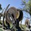 john-deere-1610-image-15