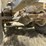 2005-terex-ta30-image-76