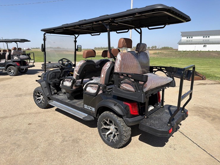 2025-sd-lanch-electric-golf-cart-image-5