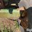 john-deere-1064-image-11