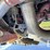 2017-peterbilt-389-image-32