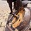#24071-•-two-bottom-moldboard-plow-image-14