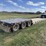 2025-muv-all-5370hdg-image-4