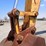 2004-deere-270c-lc-image-26