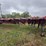 1995-wabash-truss-extendable-trailer-image-13