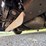 #24069-•-1997-chrysler-sebring-passenger-car-image-20