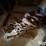 heavy-duty-log-chain-&-clevis-image-1
