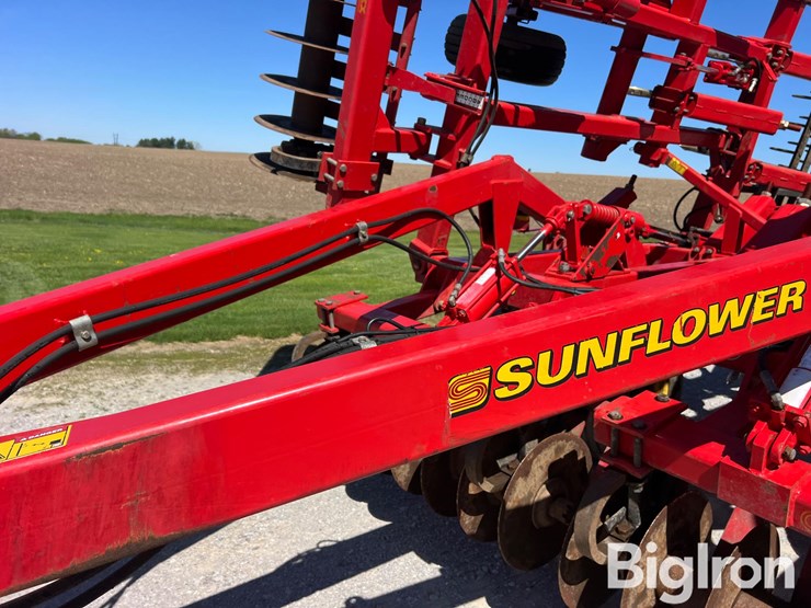 sunflower-4233-image-11