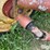 new-holland-258-image-12