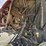 2014-case-ih-rb465-image-11