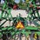 1998-john-deere-980-image-9