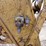 2016-caterpillar-336el-image-26