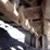 2006-caterpillar-345cl-vg-image-38