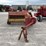 new-holland-68-image-2