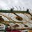 #207208-•-2013-ogden-hayrunner-wheel-rake-image-9