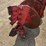 #30619-•-24in-auger-w/carbide-bits-image-4