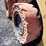 2006-caterpillar-216b-image-33