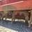 lely-roterra-image-3