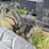1984-general-military-image-27