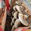 2003-roto-mix-354-12b-image-7