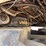 cummins-855-image-23