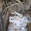 2009-deere-270d-lc-image-70
