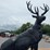 #6009-•-metal-elk-statue-image-5