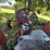 (inop)-allis-chalmers-farm-tractor-image-41