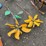 #6067-•-qty(2)-metal-sunflowers-image-2