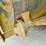 1982-caterpillar-621b-image-76