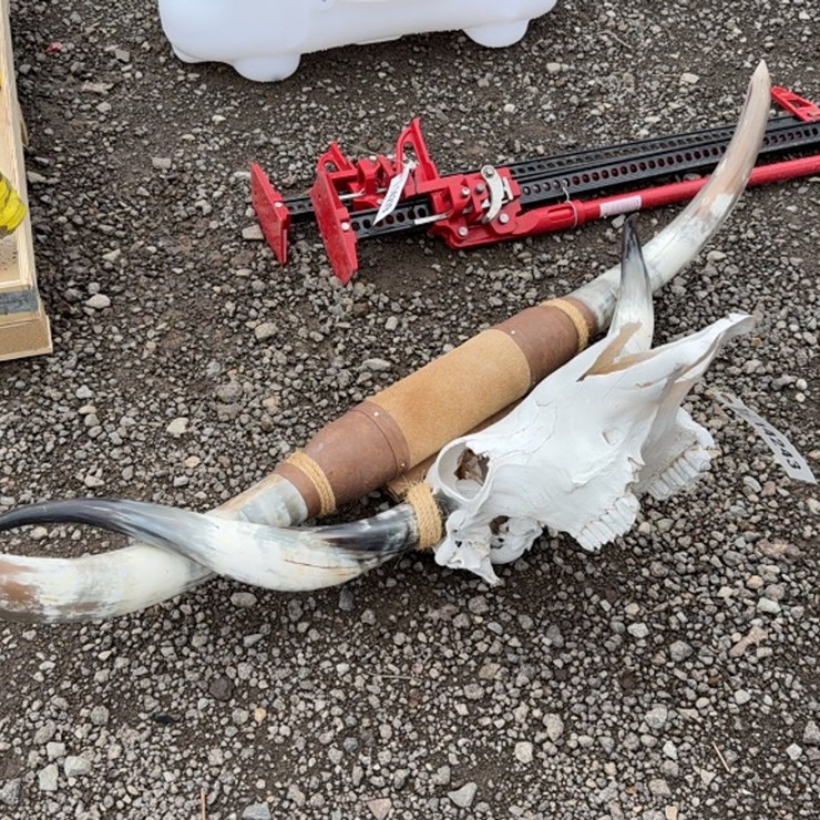 #6016 • LONG HORN SKULL AND WALL MOUNT LONG HORNS