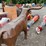 #6040-•-metal-bull-smoker-image-4