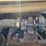 ingersoll-rand-pt125r-image-24