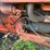 (inop)-allis-chalmers-farm-tractor-image-20