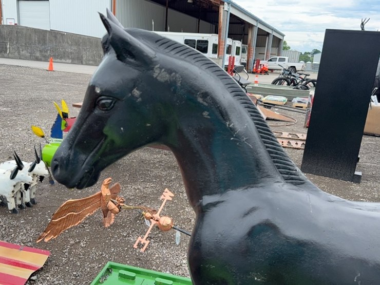 #6077-•-52"-metal-colt-statue-image-5