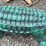 #6000-•-metal-aligator-image-3
