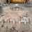 caterpillar-242d-image-4