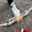 #6016-•-long-horn-skull-and-wall-mount-long-horns-image-2