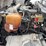 2013-international-terrastar-image-20