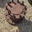 case-ih-10-image-2