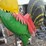 #6019-•-76"-tall-metal-rooster-image-3