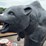 #6020-•-metal-bear-statue-image-5