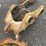 #2019-•-cat-excavator-hyd-quick-coupler-image-3