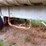 1985-fruehauf-trailer-image-20