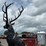 #6009-•-metal-elk-statue-image-2