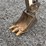 2014-bobcat-324-image-5